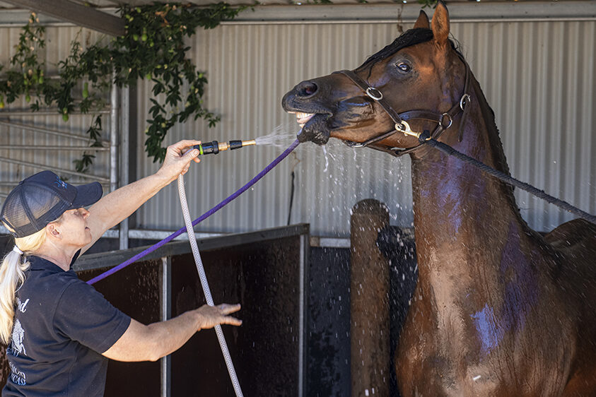 Facilities Kilmore Equestrian Centre